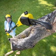Best Lawn Pest Prevention  in Newcastle, WA